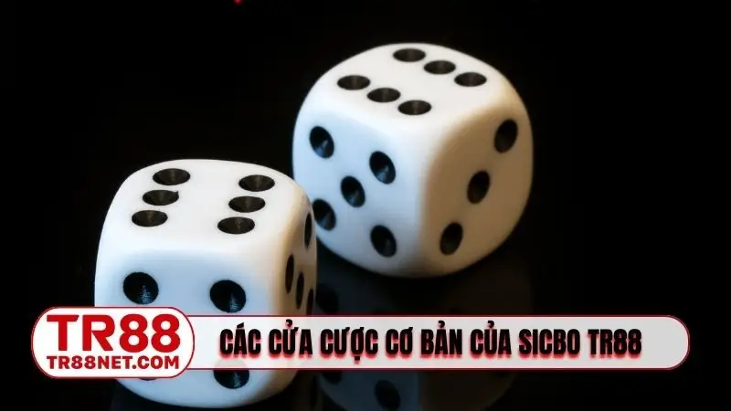 Các cửa đặt cược cơ bản của Sicbo TR88