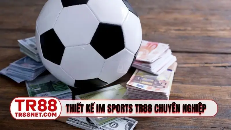 Thiết kế của IM Sports TR88 chuyên nghiệp nhưng rất dễ dùng